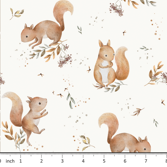 Autumn River Studio -  Baby Squirrels